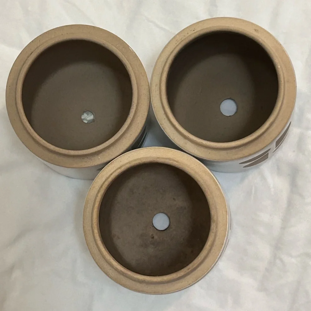 Ceramic Planter Pots by Paddywax Candles Tobacco Flower Design Small Plant Pot